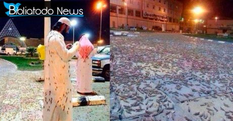 Locust In Mecca